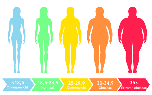 De Body Mass Index (BMI), wat betekent dat eigenlijk?  - FITAGE