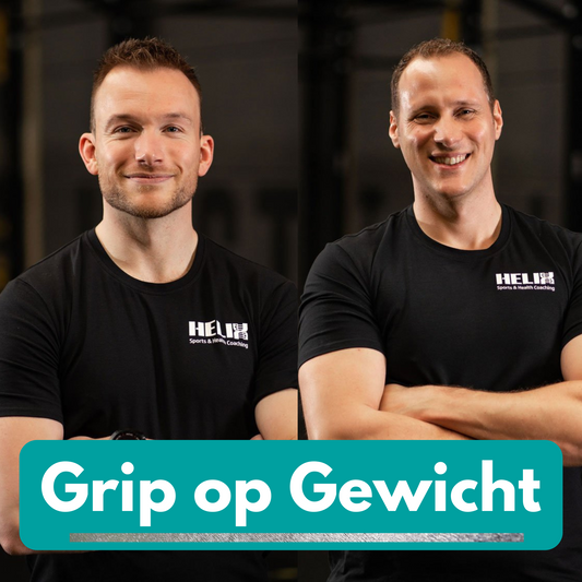 Grip op Gewicht Zilver